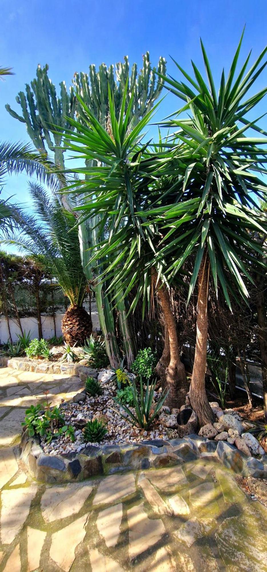 Casa Buganvilla L'Ametlla de Mar Luaran gambar